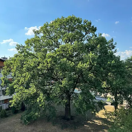 77 - Nowoczesny W Otwocku * Otwock