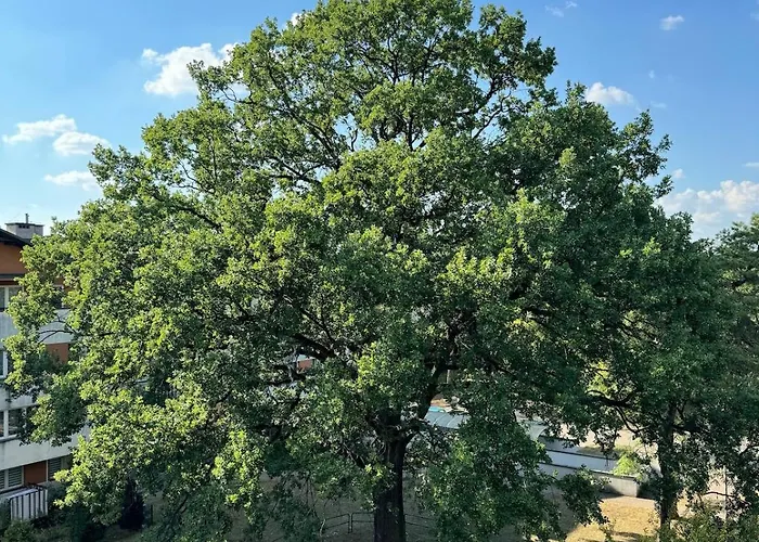 77 - Nowoczesny W Otwocku * Otwock